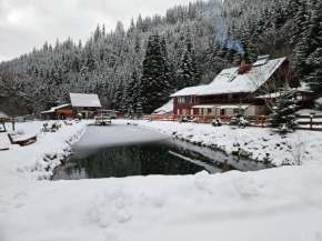 Cabană în inima munților